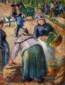 Kartoffelmarkt boulevard des fosses pontoise 1882 Camille Pissarro